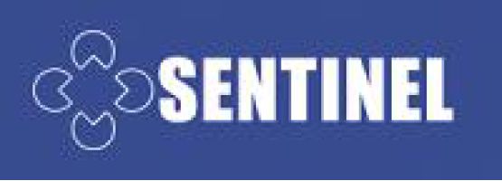Sentinel Engineering LLP logo